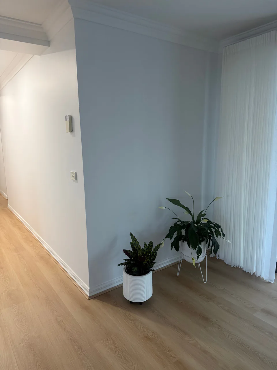 Detailed interior finish with clean wall, trim and corner lines